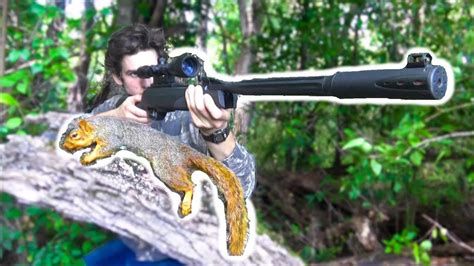 Squirrel Hunting With 22 Break Barrel Air Rifle YouTube