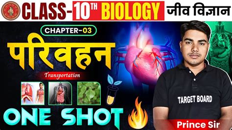 परिवहन Transportation Biology Class 10 Chapter 3 Class 10 Biology Chapter 3 Pariwahan