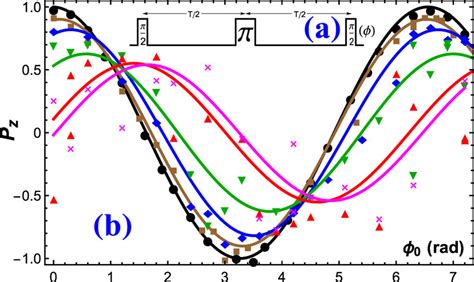 Phase Domain Spin Echo Measurements And The Fits With T 0 2 1 2