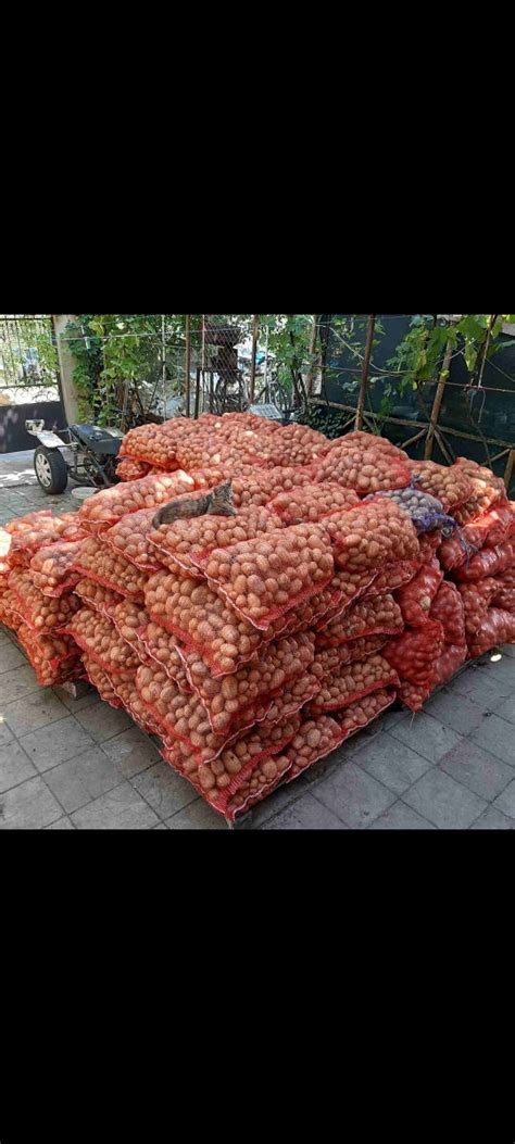 Продам картошку
