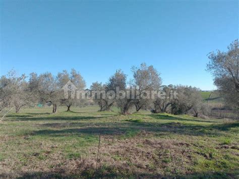 Terreno Agricolo Strada Provinciale Martana Tuscania Rif 109042457