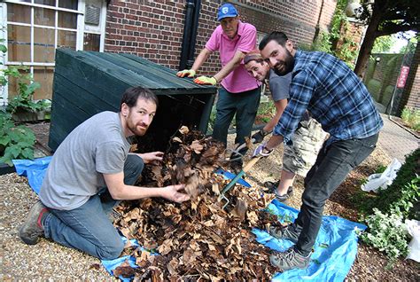 The wonders of leaf mould compost