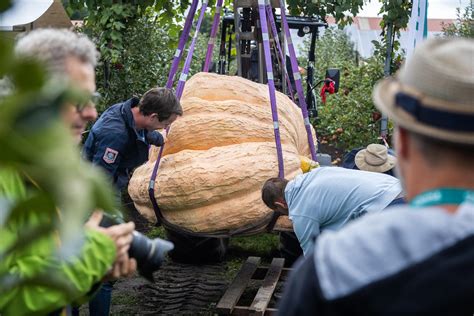 Een Gewicht Van Kilo Prijs Voor Zwaarste Pompoen Op Nederlands