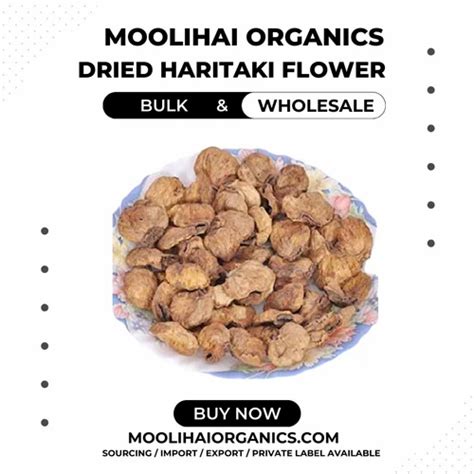 Dried Haritaki Flower Terminalia Chebula At Best Price In Panagudi