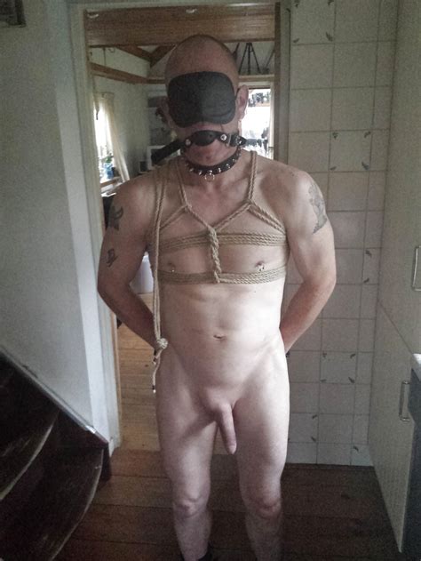 Shibari Porn Pictures Xxx Photos Sex Images Pictoa