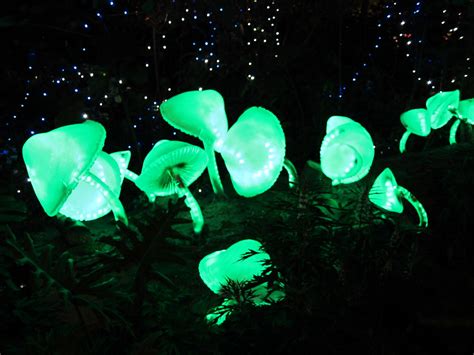 Img1600 Glowing Mushrooms At The Sentosa Flower Show 2011 Hslo