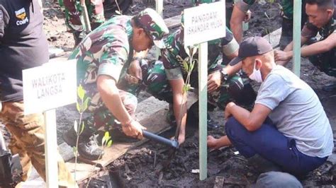 Pangdam Im Dan Wali Kota Tanam Mangrove Di Kuala Langsa Serambinews