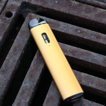 Beginner S Guide On How To Use A Vape Pen Disposable Everything You