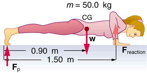 86 Forces And Torques In Muscles And Joints Biomechanics Of Human