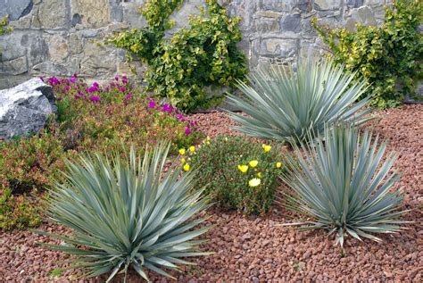 Comment aménager un jardin sans pelouse