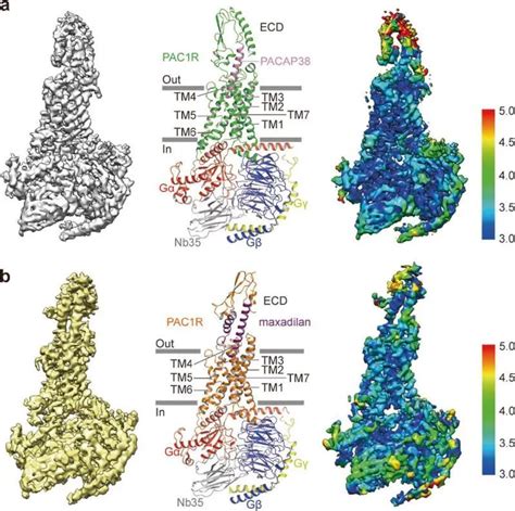 Cryo Em Helps Gpcr Targeted Drug Discoveries北京生物结构前沿研究中心