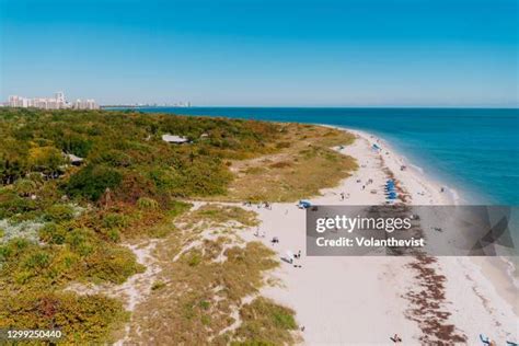 1,696 Biscayne Beach Stock Photos, High-Res Pictures, and Images ...