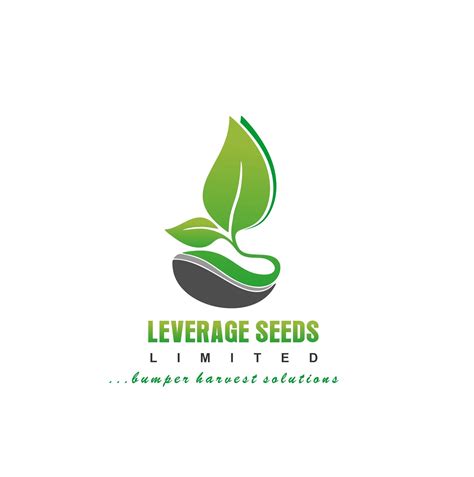 Leverage - We are thrilled to welcome you to December. As the year