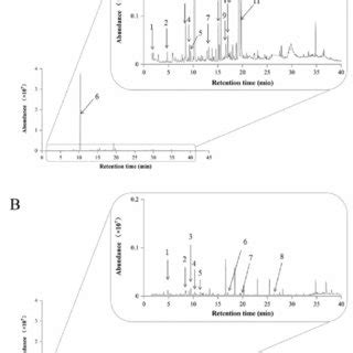 Total Ion Chromatogram Of The Headspace Of Mj A And Mj B In The