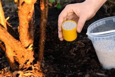 When To Use 0-0-60 Fertilizer | How To Use It