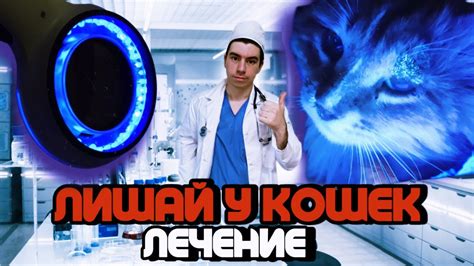 Лишай у кошек. Лечение - YouTube