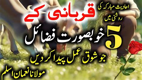 Qurbani Karne Ki Fazilat Aur Ahmiyat Qurbani Ki Fazilat Bayan Voice1