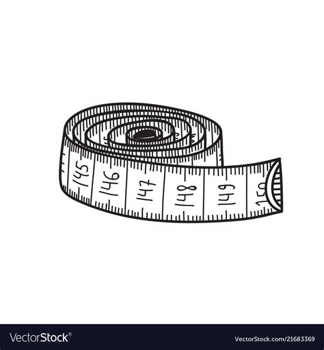 Measuring tape Royalty Free Vector Image - VectorStock