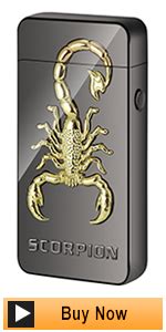 Amazon Kivors Electric Lighter Dragon Lighter Dual Arc Lighter USB