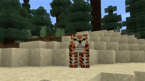 Download Cat Mod for Minecraft PE — Cat Mod