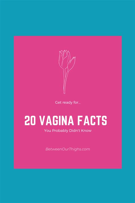 Vagina Facts You Probably Didnt Know Artofit