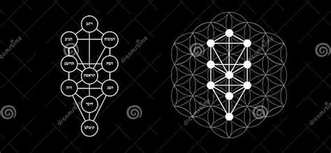 Kabbalah Vector Symbol Isolated Sacred Geometry And Tree Of Sefirot