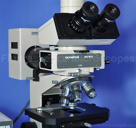 Fluorescence Microscopes Olympus Bh Fluorescence Trinocular Microscope