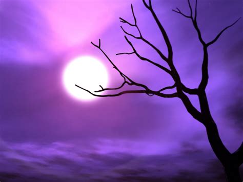 Purple Sky Wallpaper Saversplanet