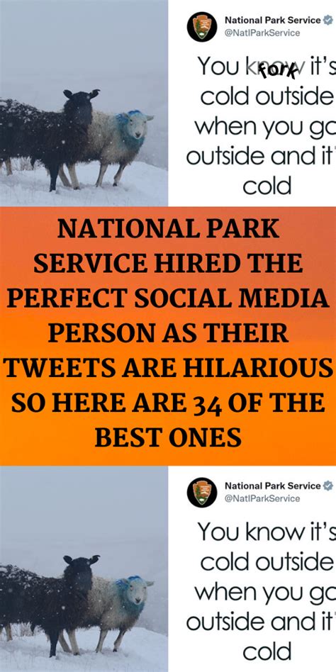 National Park Service Hired The Perfect Social Media Person As Their