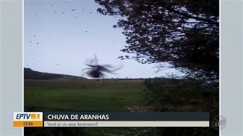 Morador Registra Chuva De Aranhas Em Cidade Do Sul De Mg Bi Loga