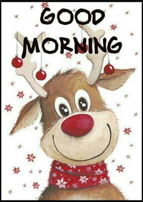 Rudolph Good Morning Christmas Good Morning Merry Christmas Christmas