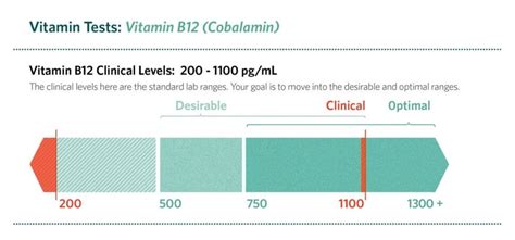 Vitamin B12 Essential For Energy And Healthy Aging Dr Williams