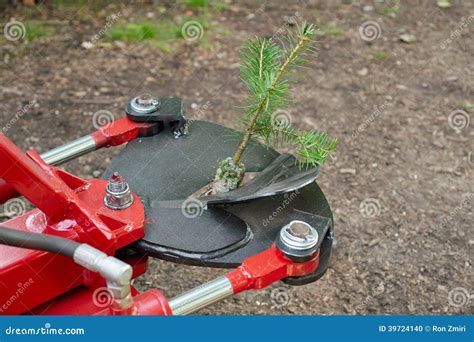 Tree planting machine stock photo. Image of outdoor, plant - 39724140