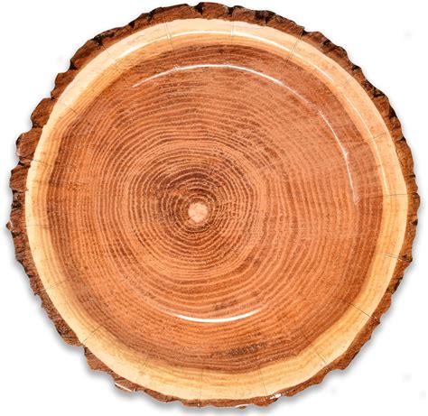 Amazon Havercamp Cut Timber Party Plates Plates Lg