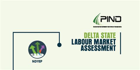 Delta State Labour Market Assessment Report Pind Foundation