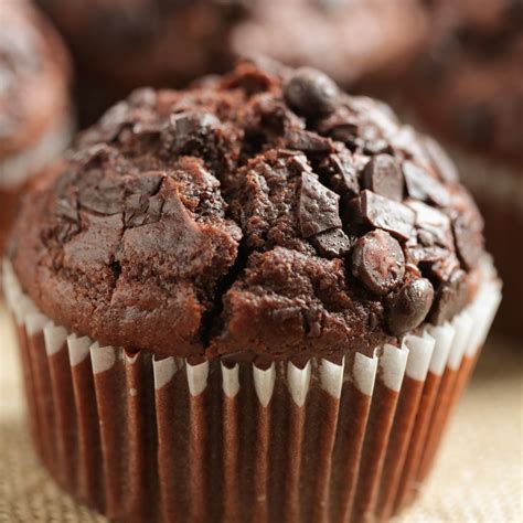 Double Chocolate Muffins