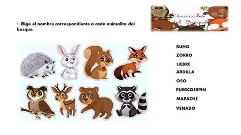 an image of different animals in spanish