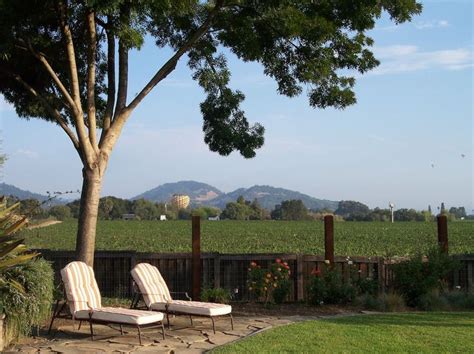 two lounge chairs sitting on top of a stone patio next to a tree and ...