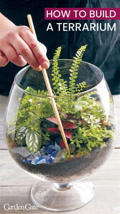 Follow Our Simple Steps To Build Your Own Terrarium Terarrium