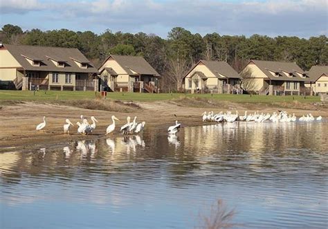 Lakepoint Resort State Park Eufaula Barbour Alabama State Guide