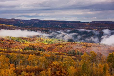 The Best Fall Foliage Hikes in Colorado - Amazing America