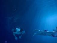 Jess Weixler Nude Pics Page 1