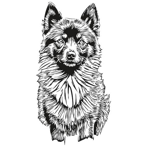 Premium Vector | Schipperke dog cartoon face ink portrait black and ...