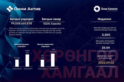 Омни Актив | Танилцуулга