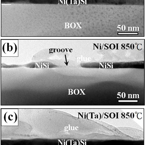 Plan View Sem Images Of Ni Soi And Ni Ta Soi Samples Annealed At