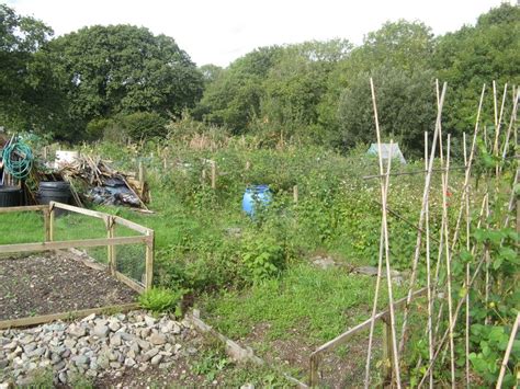 Tregarth Community Allotments Jonathan Wilkins Cc By Sa 2 0