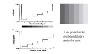 Elements Of Visual Perception Pptx