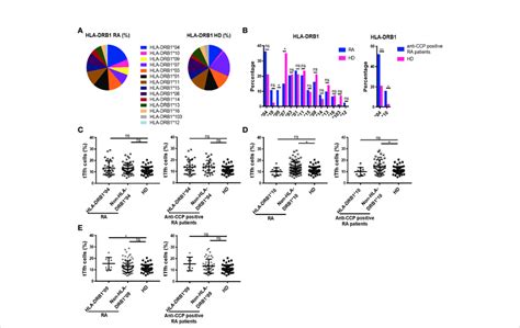 Distribution Of Hla Drb And Its Relationship With Ttfh Cells In Ra