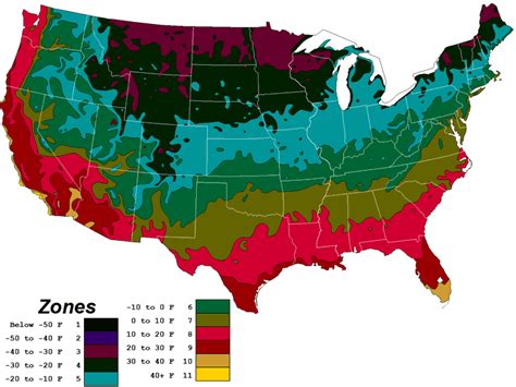 Zone Planting Calendar Urban Farmer Seeds 54 Off