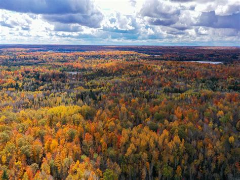 Murphy Rd. 40 acres, Lakewood Wisconsin | Whitetail Dreams